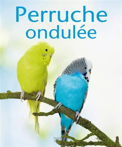 Perruche ondulée hieldegard - ondulée,,