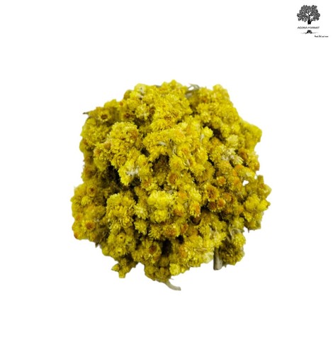 Fleurs éternelles helichrysum - fleurs,