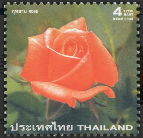 Thailand 2004 roses rose - thailand,