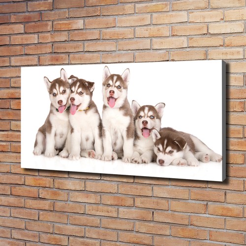 Tulup image sur toile - image, tableau