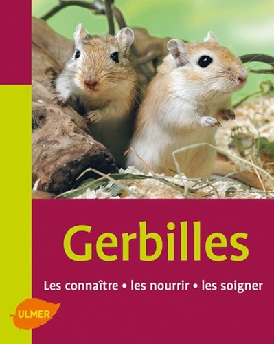 Les gerbilles - les, connaître