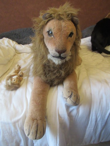 Peluches lion dont - peluches,