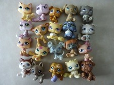 lot  20  petshop chats et