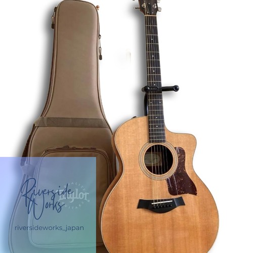 Guitare électrique acoustique