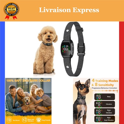Collier anti aboiement - anti-aboiement, chien