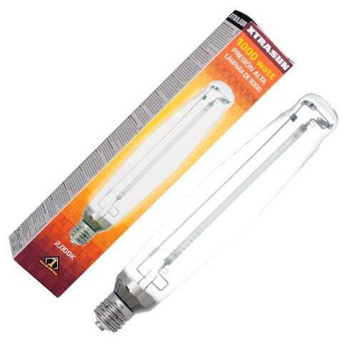 Lampe culture mixte pour - mixte,
