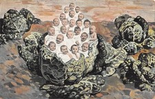 Postcard fantasy / representative of babies / born in a cabbage / baby
