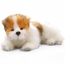 Carl Dick Biewer Yorkshire