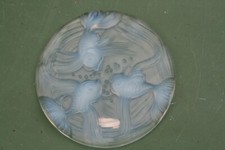 dessous de bouteille  en verre