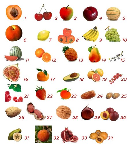Plantes fruitières diverses - plantes,