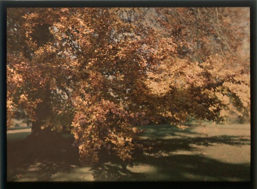 Autochrome 12x16 beau - autochrome,