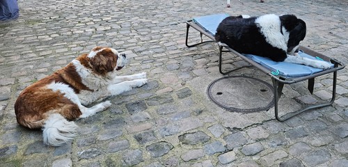 Matelas militaire campement