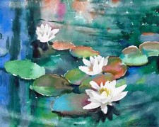 nénuphars dans un étang