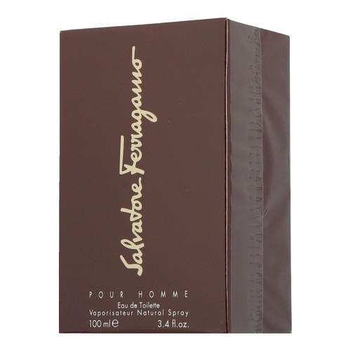 Salvatore ferragamo pour homme - salvatore,