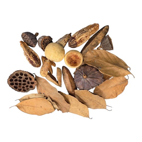 Botanical variety pack for - pack,