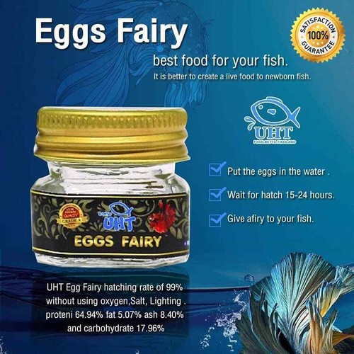 Oeufs crevettes fées