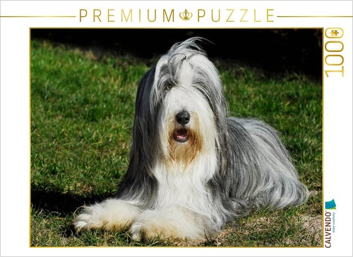 Calvendo puzzle bearded collie - calvendo,