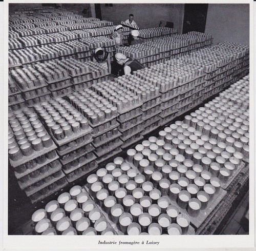 1964 industrie fromagere - , --