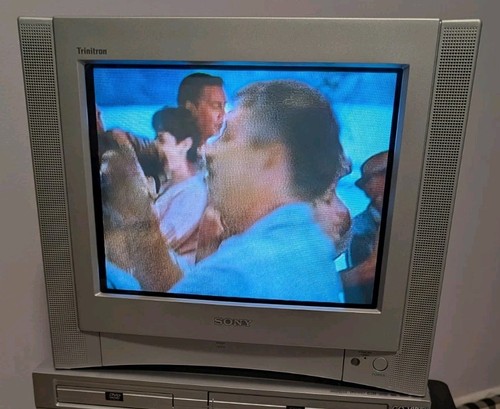 Sony trinitron wega 13fs100 - sony,