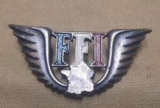 INSIGNE FFI  MATRICULE