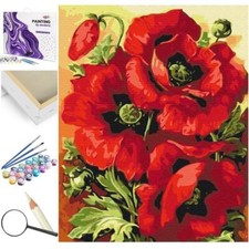 Peinture par numéros cadre en