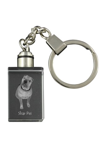 Shar pei porte clés en - -,