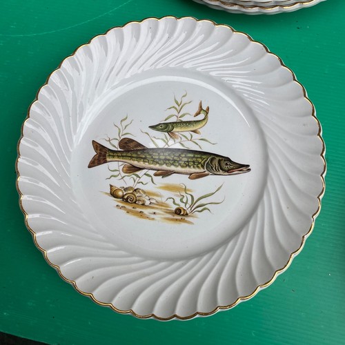 Assiette decor poisson - 8,