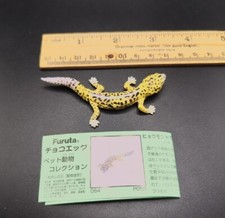 Lizardi Leopard Gecko Kaiyodo Furuta Choco egg  animal  figure  japan import