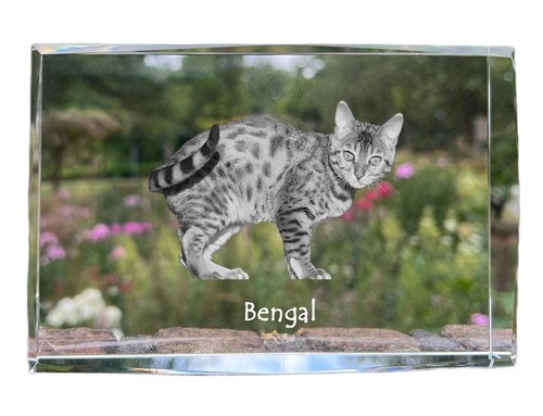Bengal cristal avec chat - cristal,