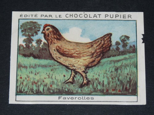 Chromo chocolat pupier - chromo,