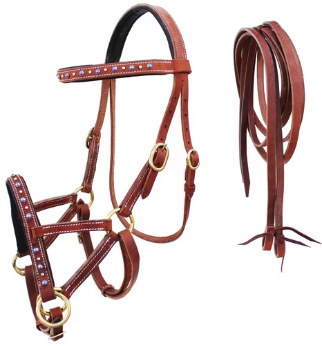 Horse western leather - horse,