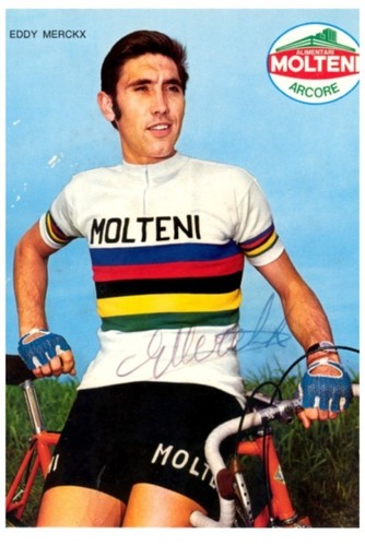 Eddy merckx - eddy,