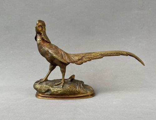 Faisan bronze doré - faisan,