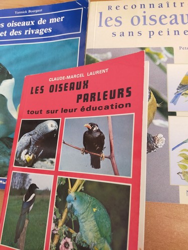Lot livres les oiseaux de - livres,