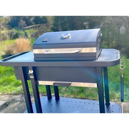Barbecue charbon sng - charbon,