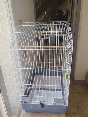 Cage oiseaux fer - cage,