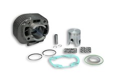 Cylindre Fonte 318561 MALOSSI