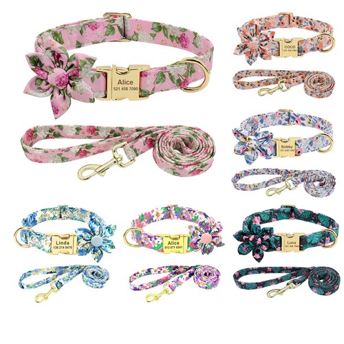 Collier laisse - collier,
