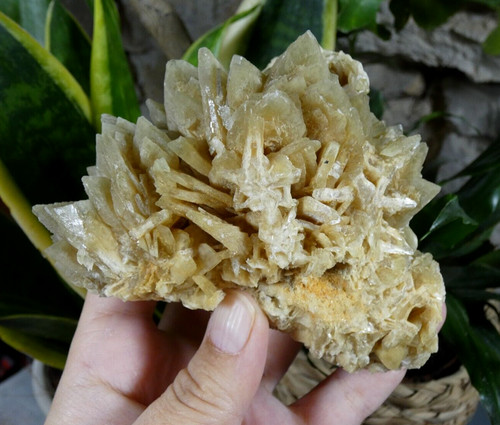 Belle baryte miel - baryte, crêtée