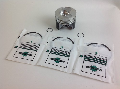 Piston segments 1 00 87 - 1,00,