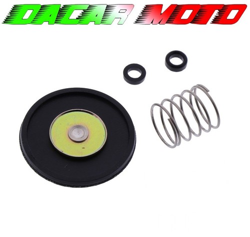 Set diaphragme pompe - diaphragme,
