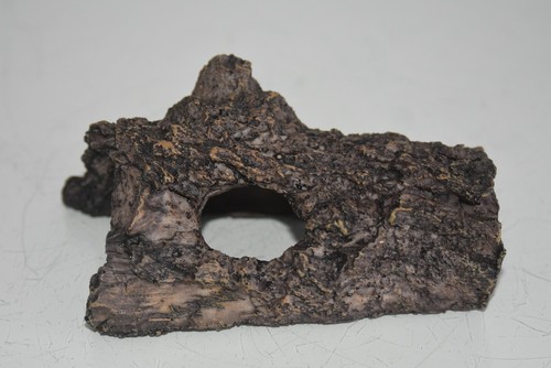 Vivarium petit taille - taille, bois
