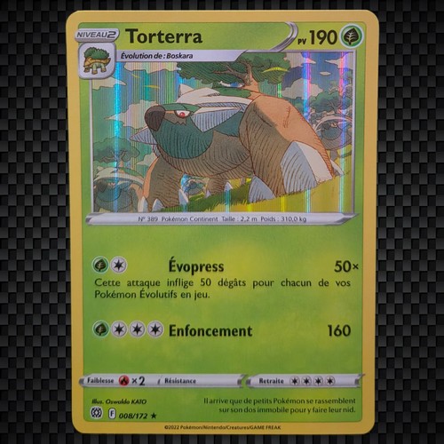 Cartes pokémon torterra - cartes,