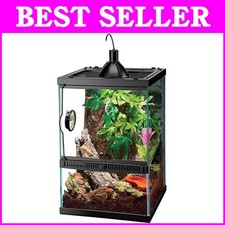 Glass Terrarium Starter Kit