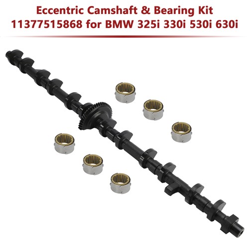Eccentric camshaft bearing - eccentric, &
