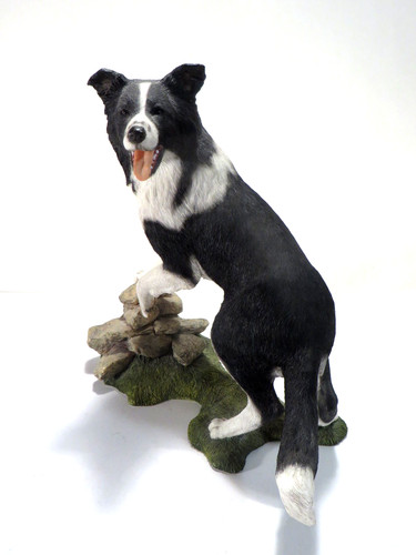 Border collie hand crafted - border,