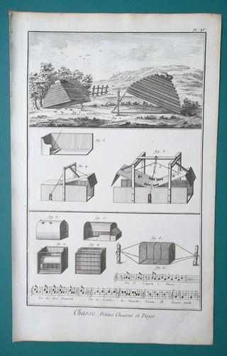 Hunting birds traps - birds,