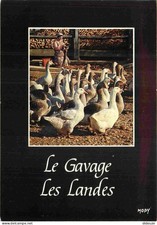 Carte Postale - Metiers -