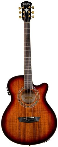 Washburn ea55g festival - washburn,