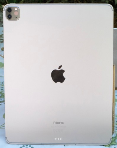 Apple ipad pro - 12,9, pouces